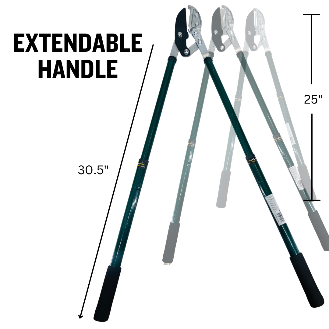 Extendable Handle Lopping Shears with Anvil Absorber