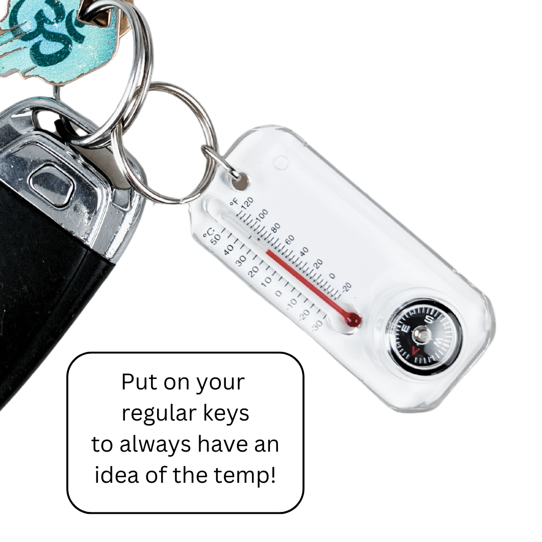 (2 Pack) Mini Thermometer & Compass - PC-00350-Z02