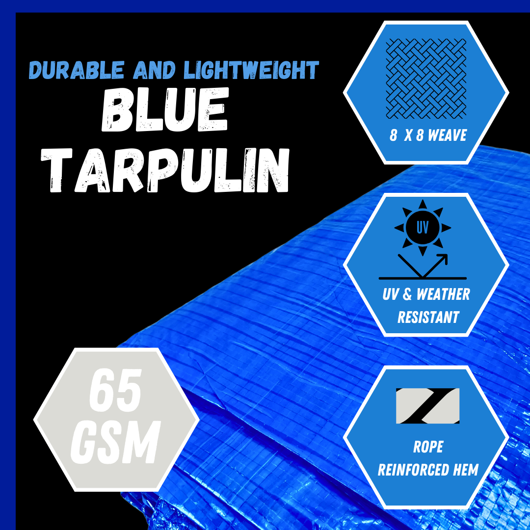 12x16 Foot Multipurpose Waterproof Blue Tarp, 70 GSM - TB3040  - TB-01216