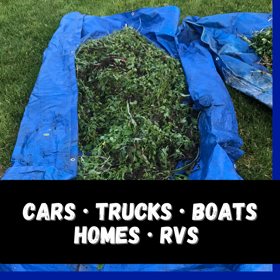 30x40 Foot Multipurpose Waterproof Blue Tarp, 65 GSM - TB-03040