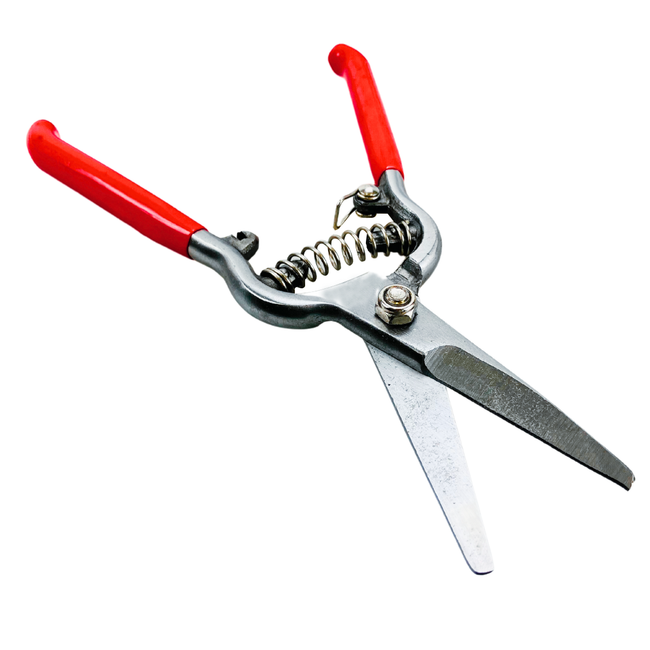 Pruning Shears, 8-Inch  - TP-04608