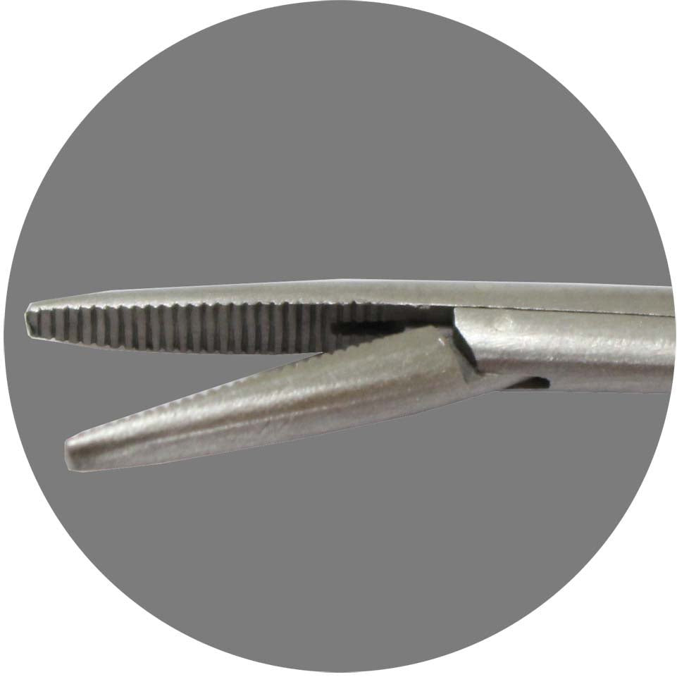 6 Inch Alligator Forceps - S3-03060 - ToolUSA