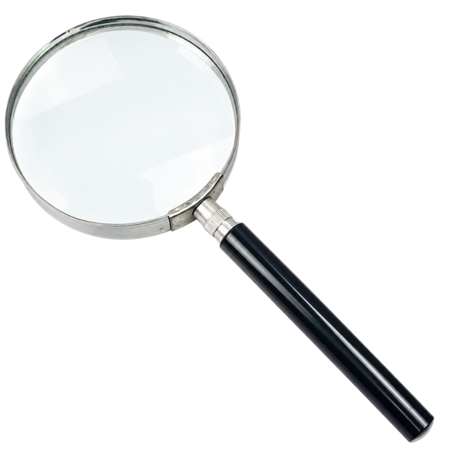 2X Power 8.5-Inch Handheld Magnifier with 4-Inch Lens and Black Handle – MG-08779