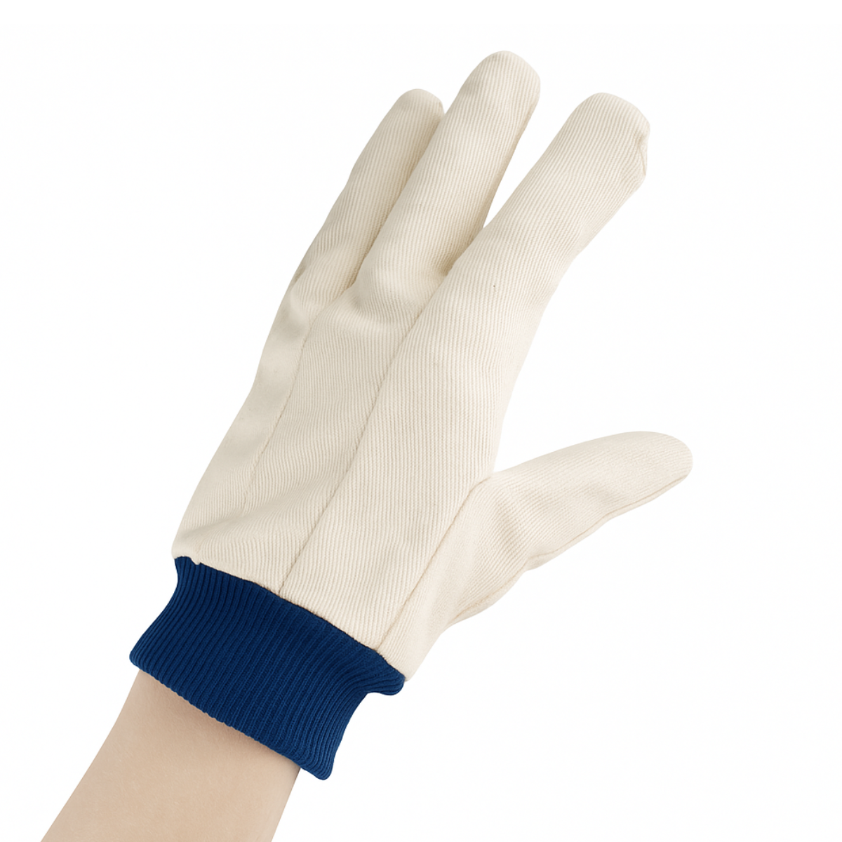 12 Pair Ladies' Cotton Canvas Gloves | Size Medium (M) | Durable & Stylish with Blue Knit Wrist | Machine Washable | Versatile Use Great For House, Yard Work, Construction