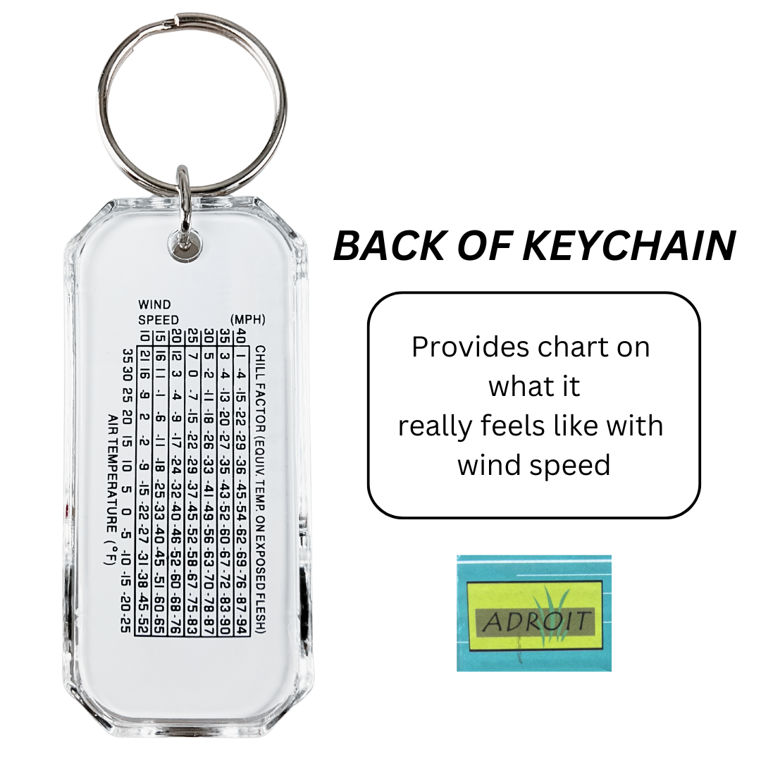 (2 Pack) Mini Thermometer & Compass - PC-00350-Z02