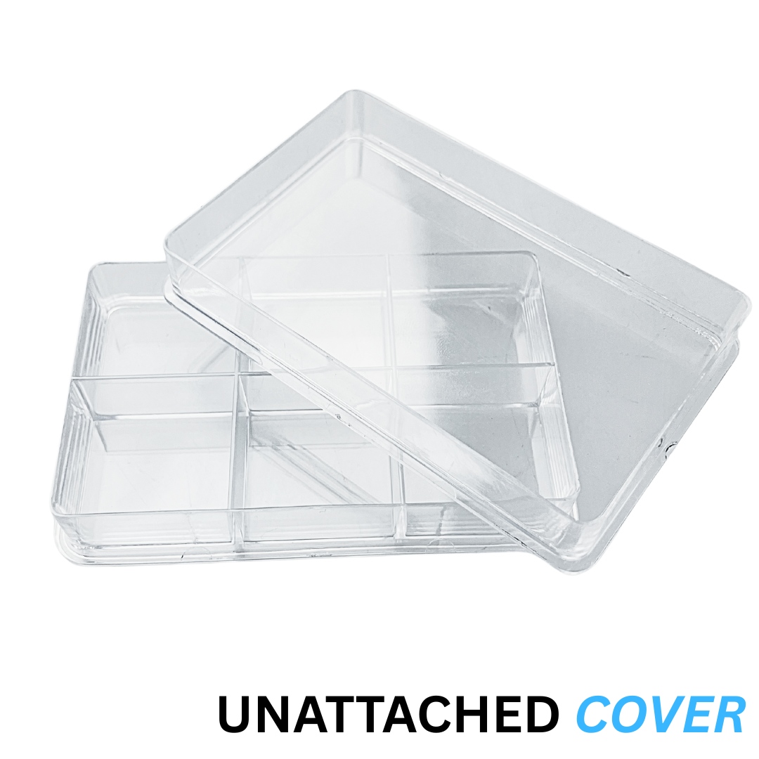 6 Grid Small Storage Box (Pack of: 2) - TJ-28702-Z02