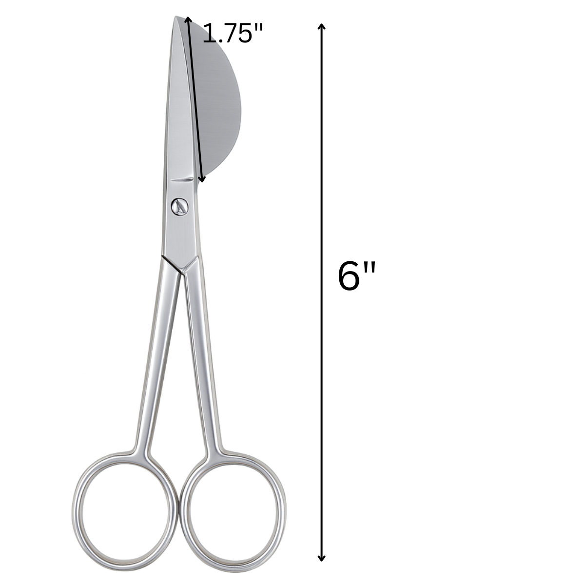6" Applique Scissors  - SC-49500