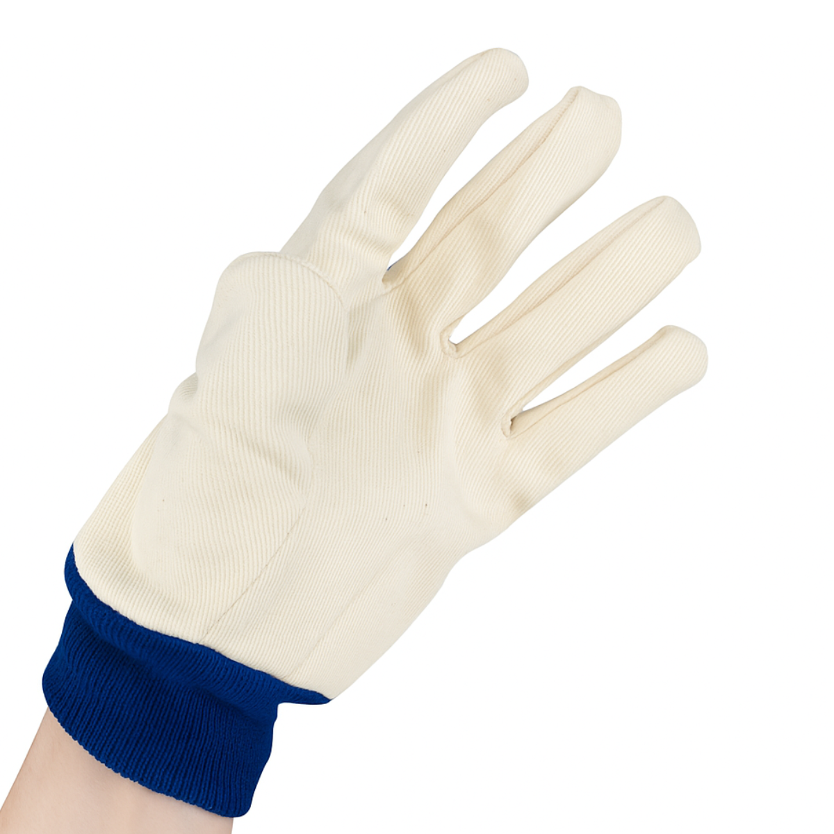 12 Pair Ladies' Cotton Canvas Gloves | Size Medium (M) | Durable & Stylish with Blue Knit Wrist | Machine Washable | Versatile Use Great For House, Yard Work, Construction