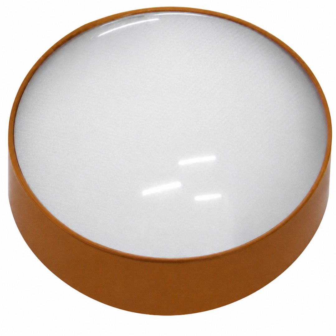 5X Desktop Dome Magnifier with Gold Metal Frame, 2.5 Inch Convex Glass Lens, Hands-Free Reading Magnifier and Paperweight for Desk, Books, Maps, Documents, Stamps and Coins