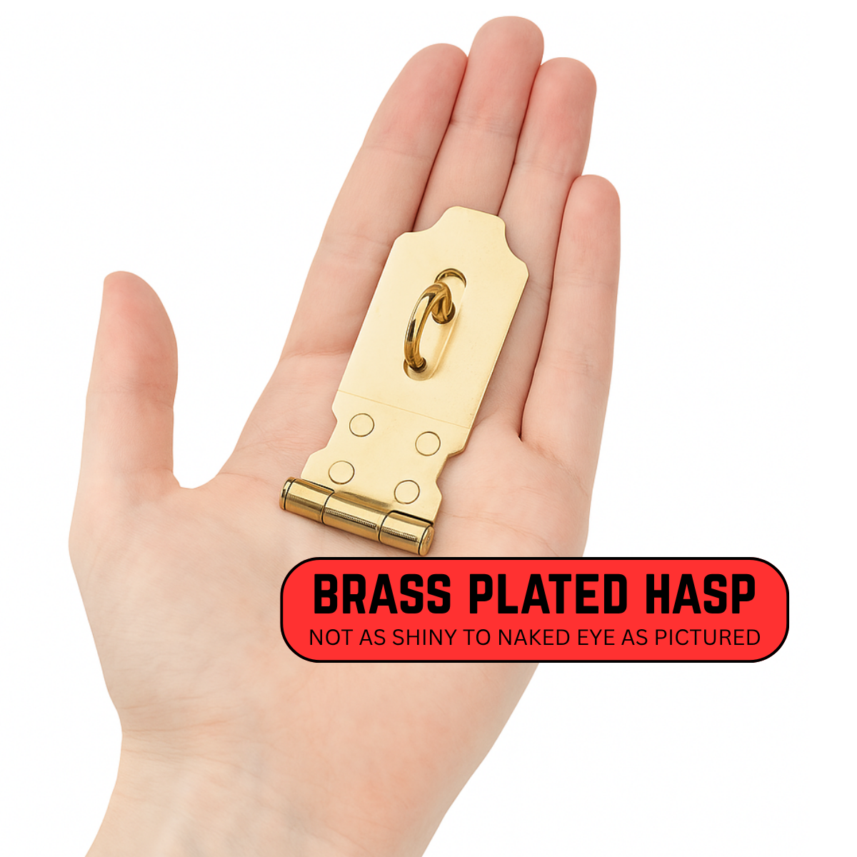 Brass Plated Hasp and Padlock Set with Screws – 2.5” Locking Hinge for ...
