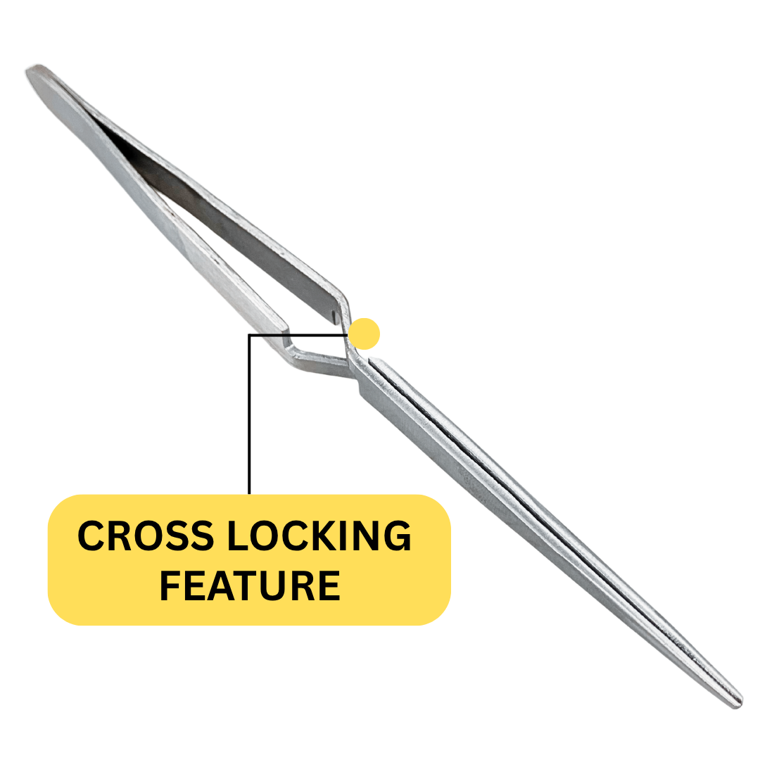 6-1/2 Inch Cross Lock Tweezers, Attached To A Heavy Weight Round Base  - TJ01-01100