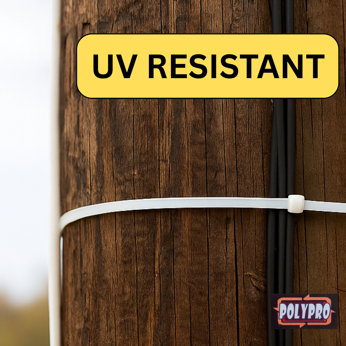 50 Pc. Cable Mounting Ties - 18"  - TZ8618W-50