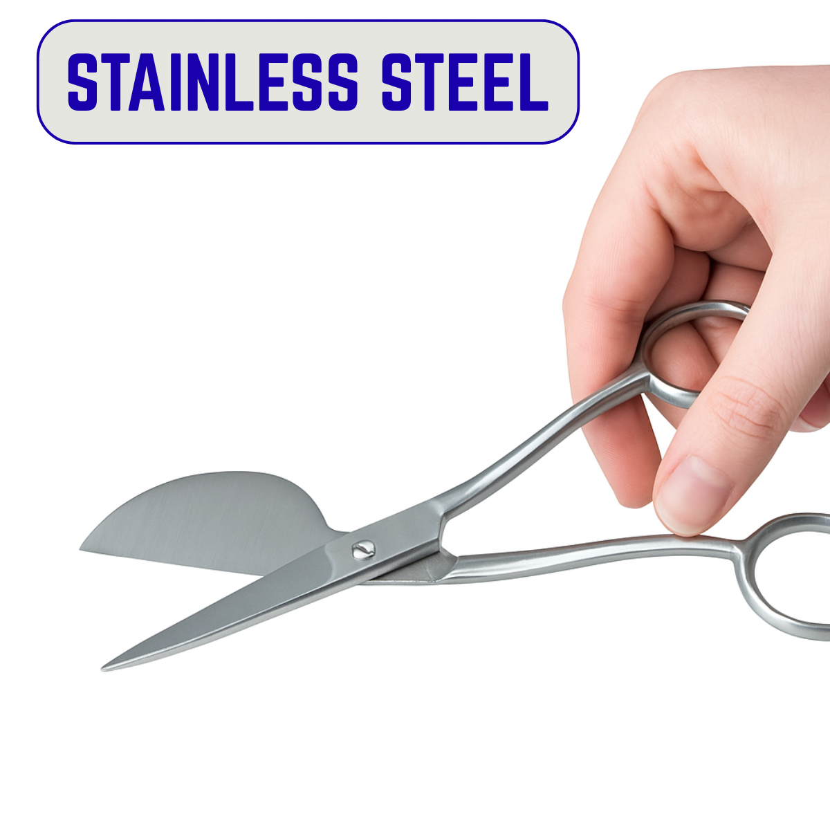 6" Applique Scissors  - SC-49500