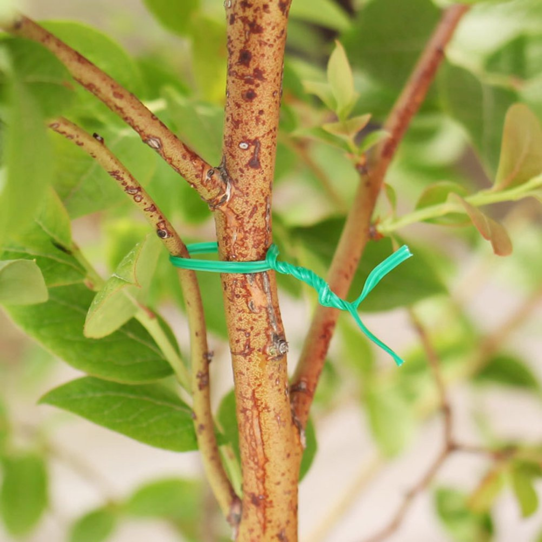 Gardening Starter Kit