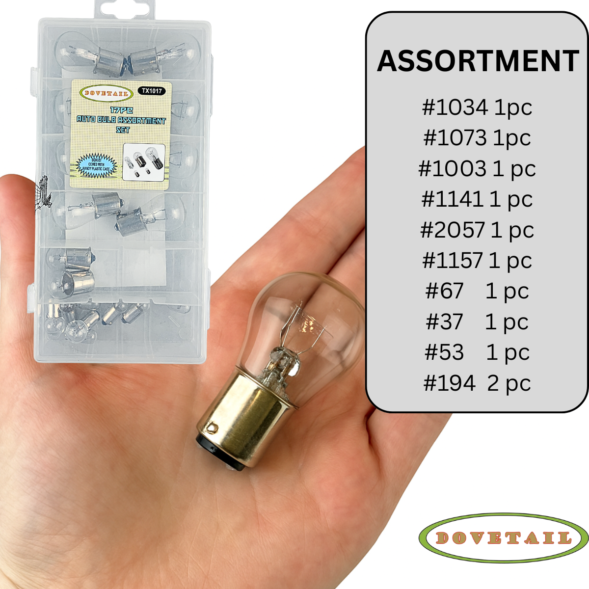 17 Piece 12V Automotive Bulbs Assorted Set - TX1017