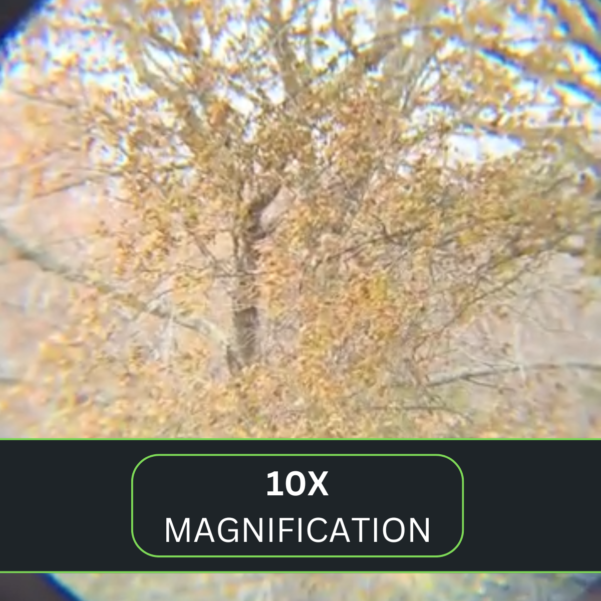 Green Camouflaged Body Amber Lens Binoculars with Mini Compass, 10x