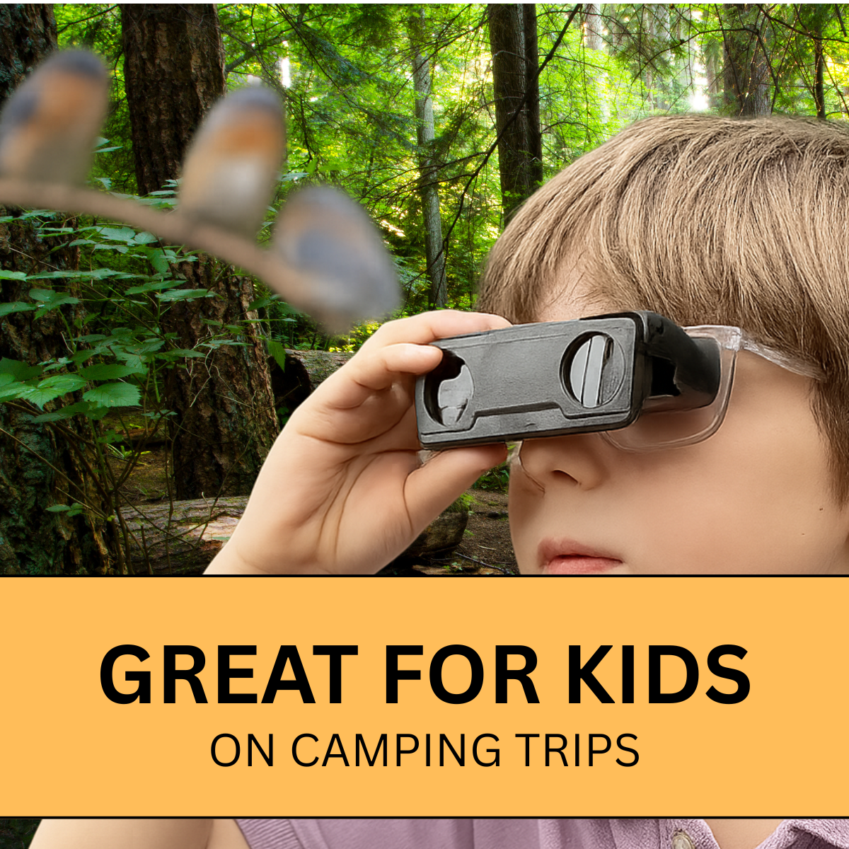 2x Folding Compact Binoculars - Plastic  - MP165