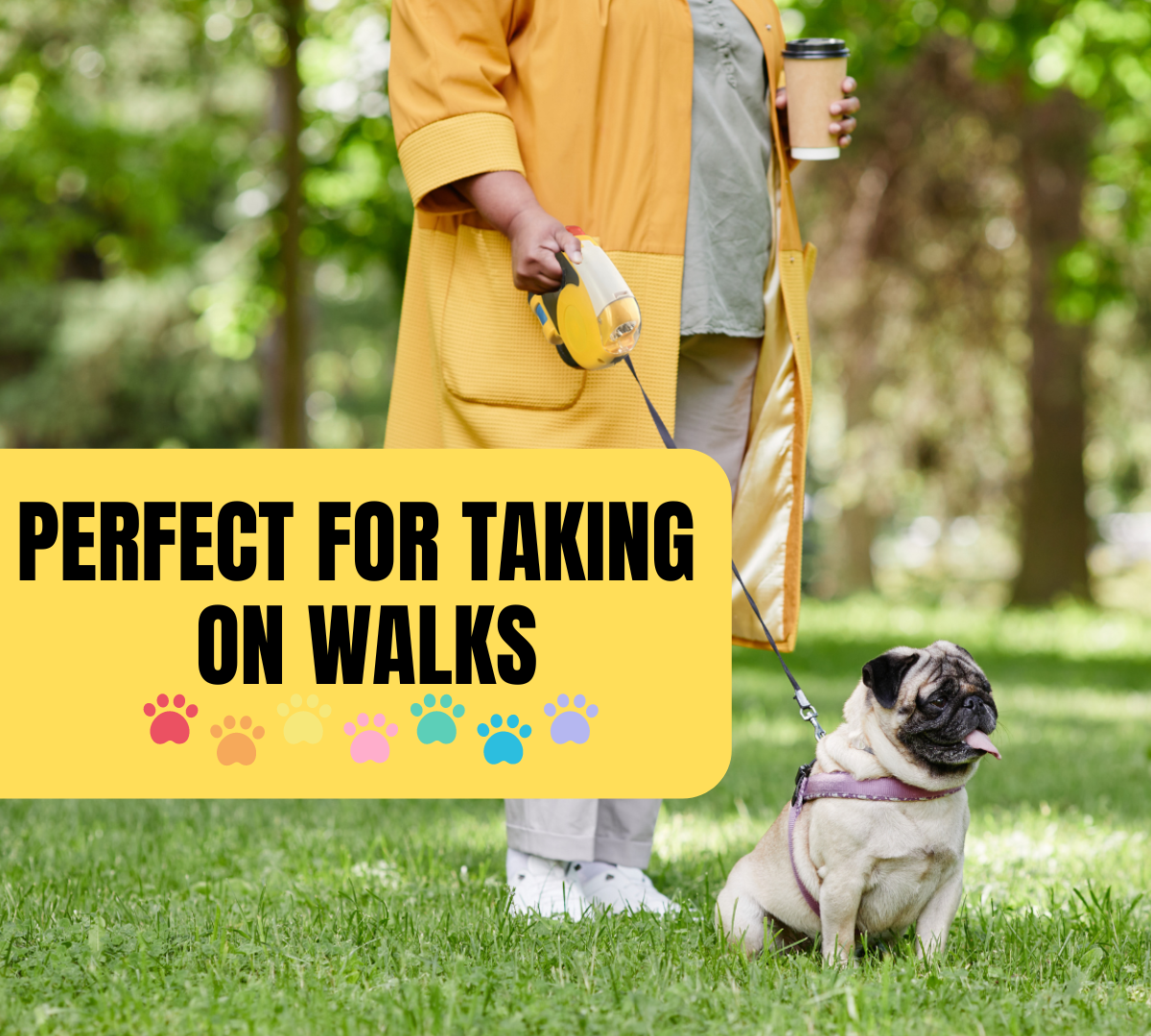 3 Meter Retracting Dog Leash in a Plastic Case with a Flashlight & Disposable Waste Bags  - B-92720