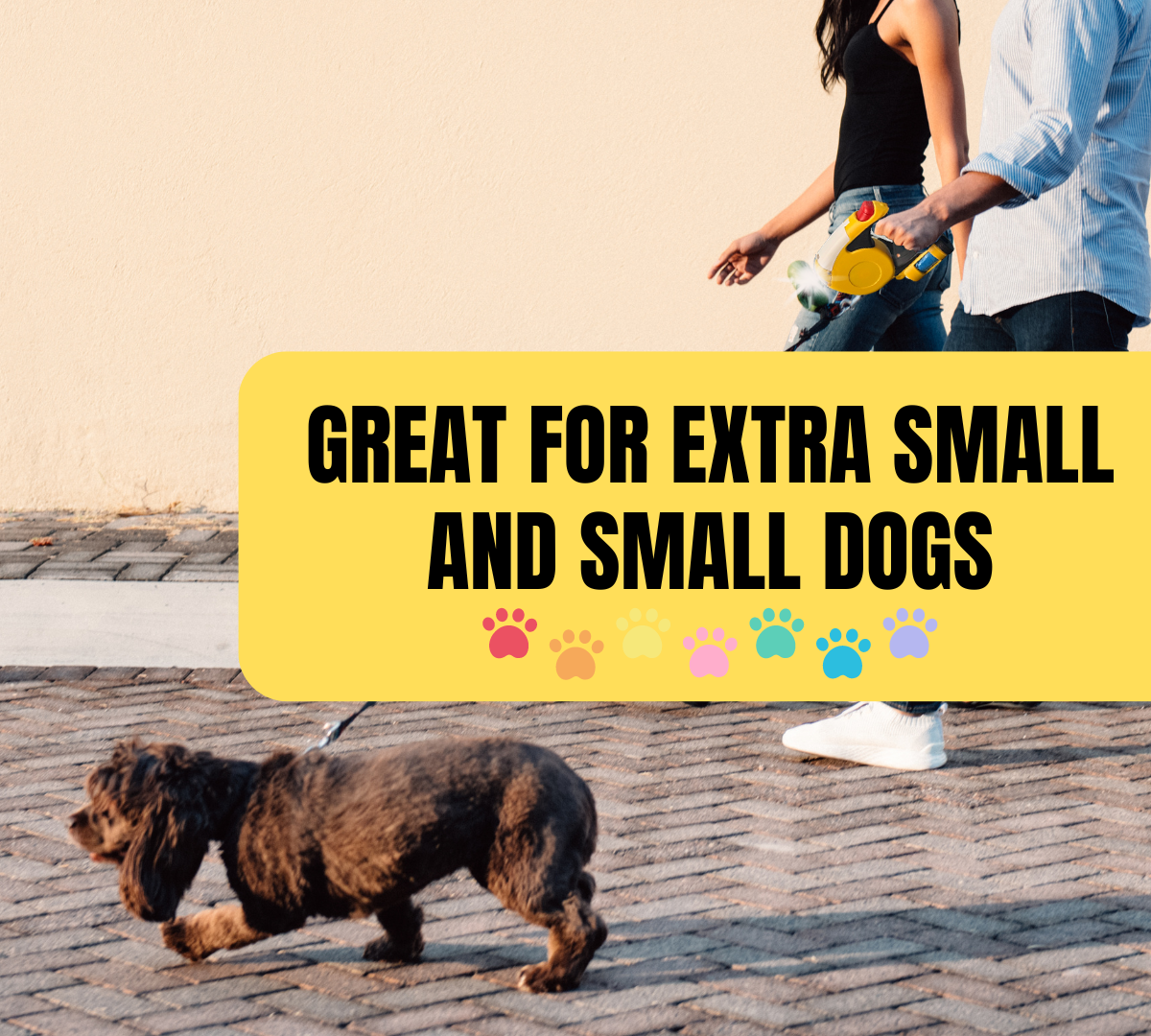 3 Meter Retracting Dog Leash in a Plastic Case with a Flashlight & Disposable Waste Bags  - B-92720