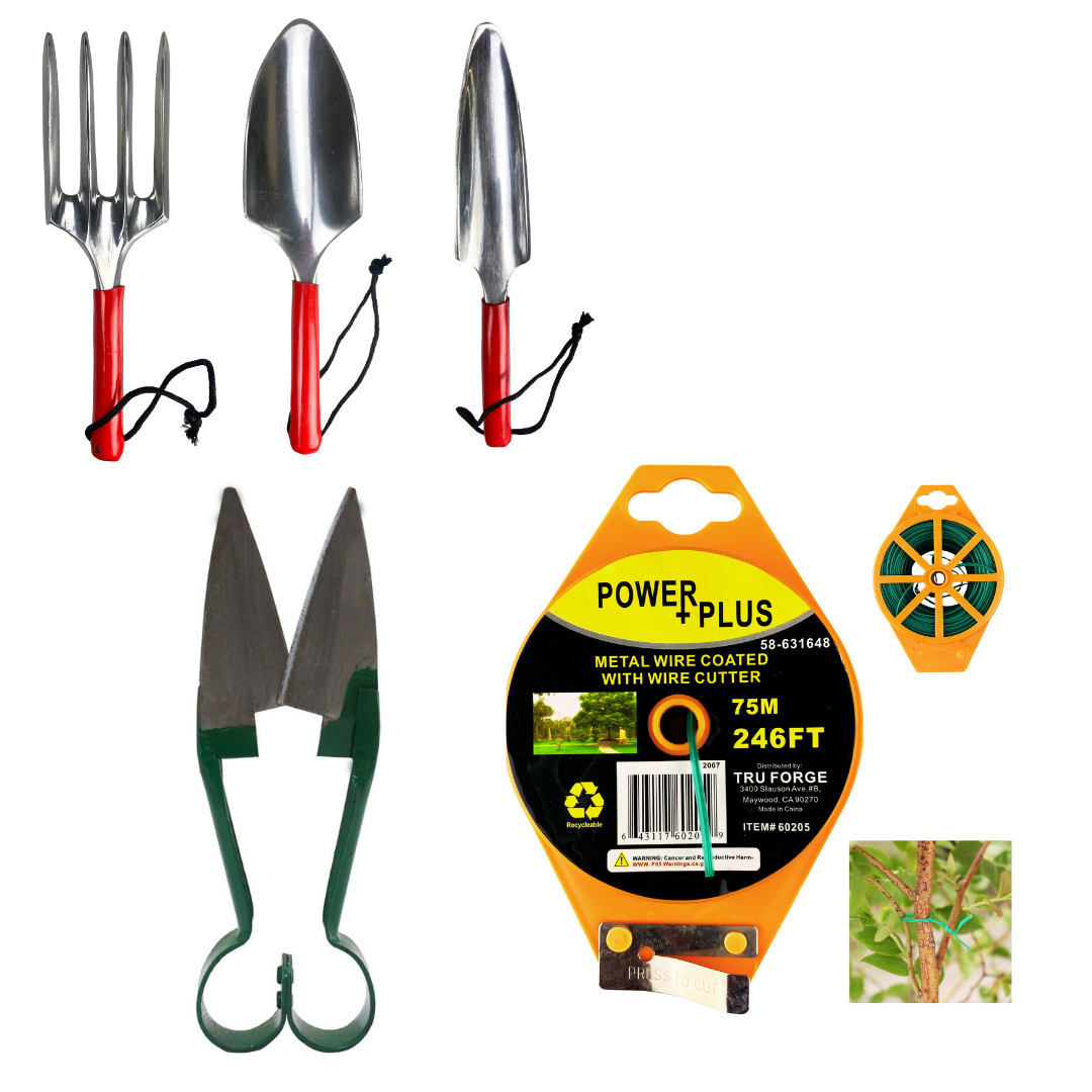 Gardening Starter Kit