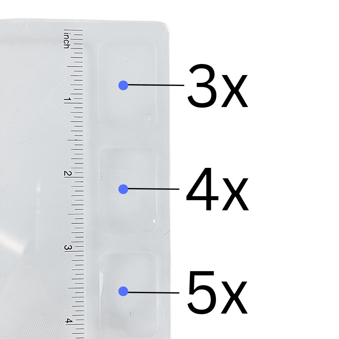 Full Page Fresnel Magnifier with Ruler - MG-15060