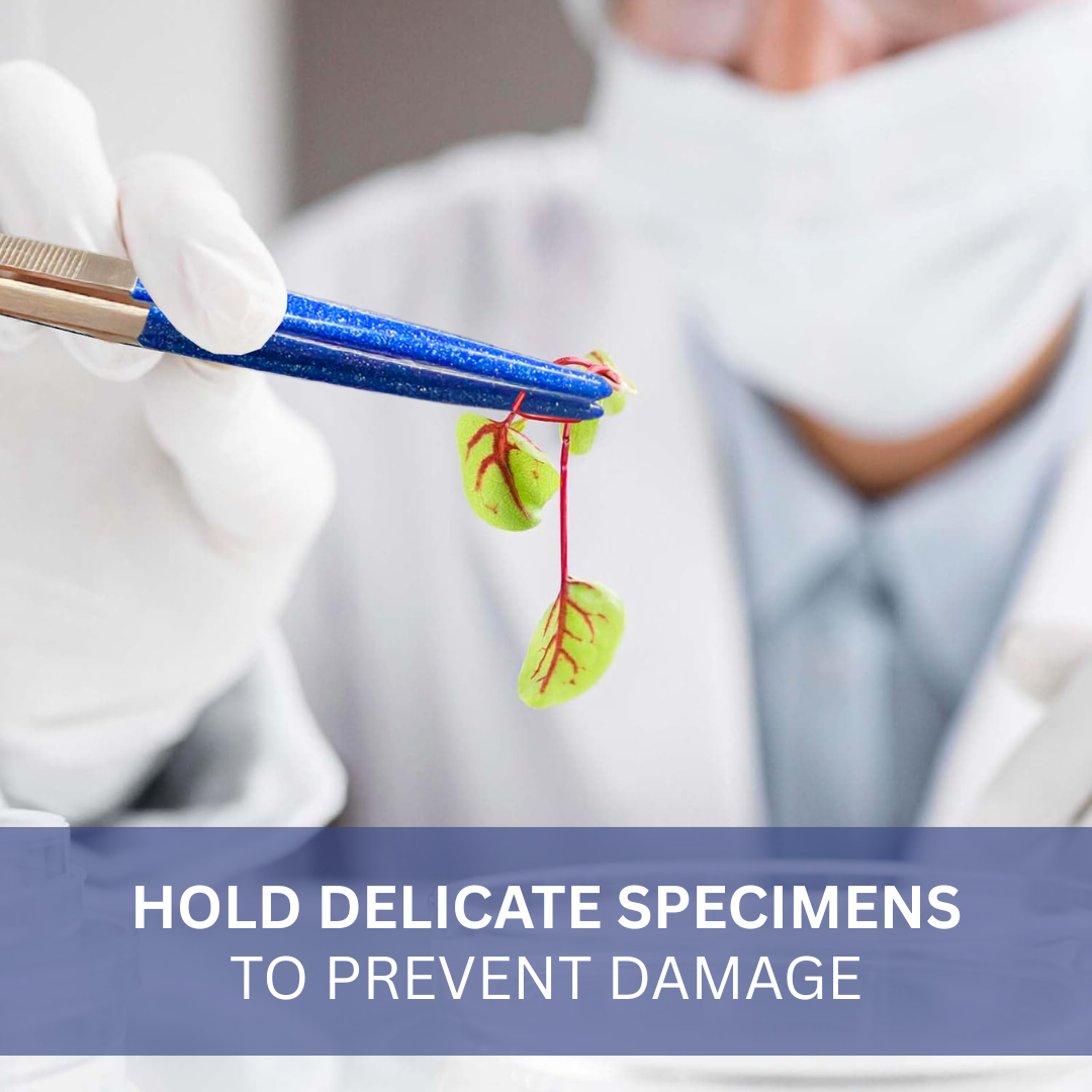 12 Inch Heavy Duty Tweezers with Coated Tips (Pack of: 2) - S1-18570-Z02