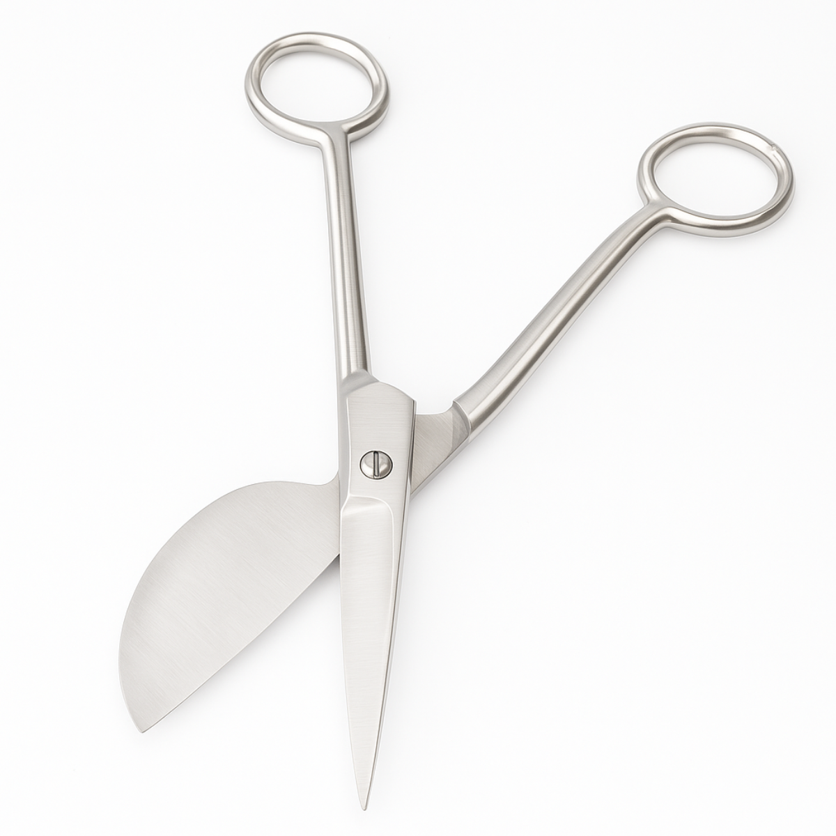 6" Applique Scissors  - SC-49500