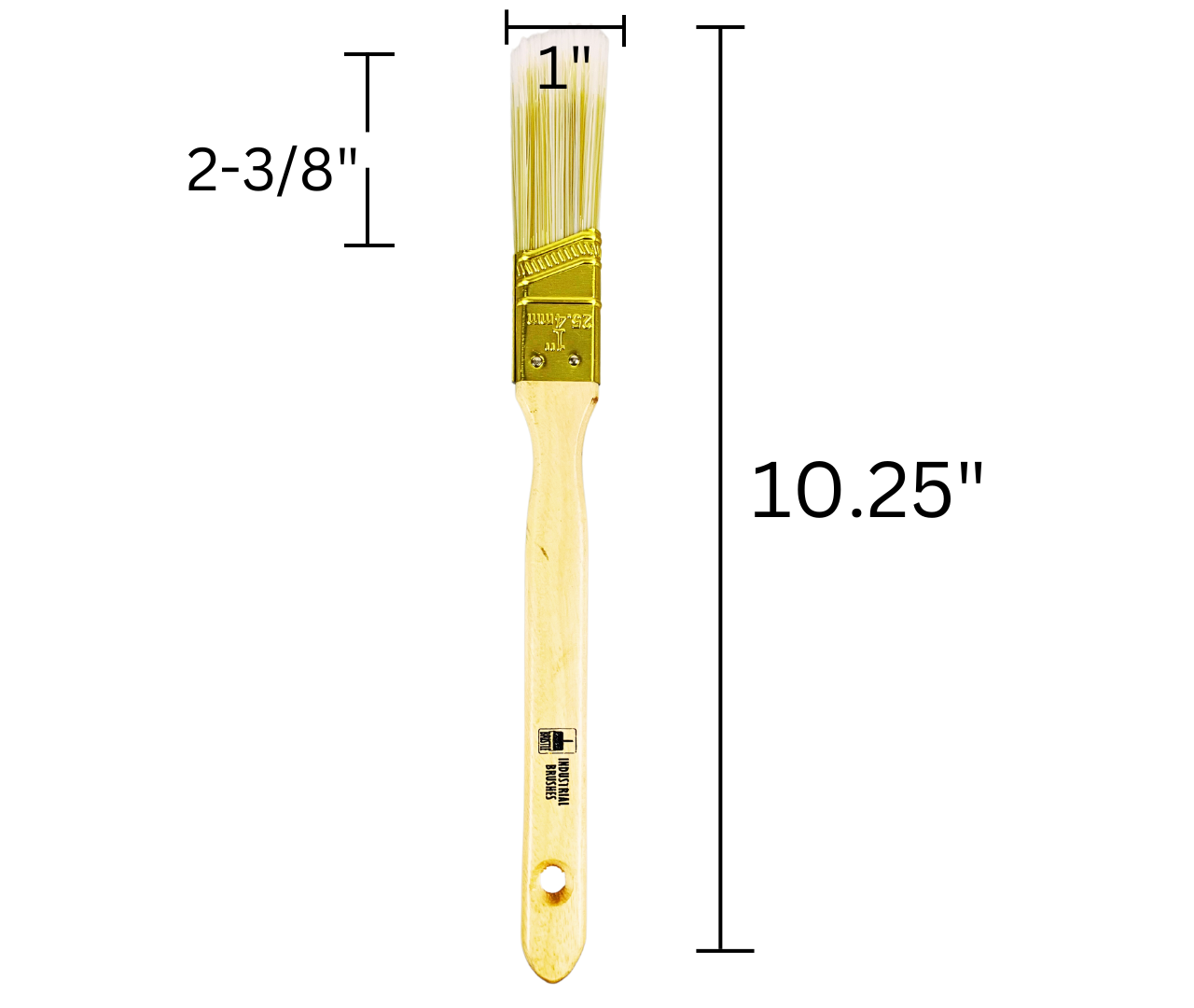 1" Wide Bristle Brush for House Painting, Varnish or Lacquer (Pack of: 2) - TZ63-28440-Z02