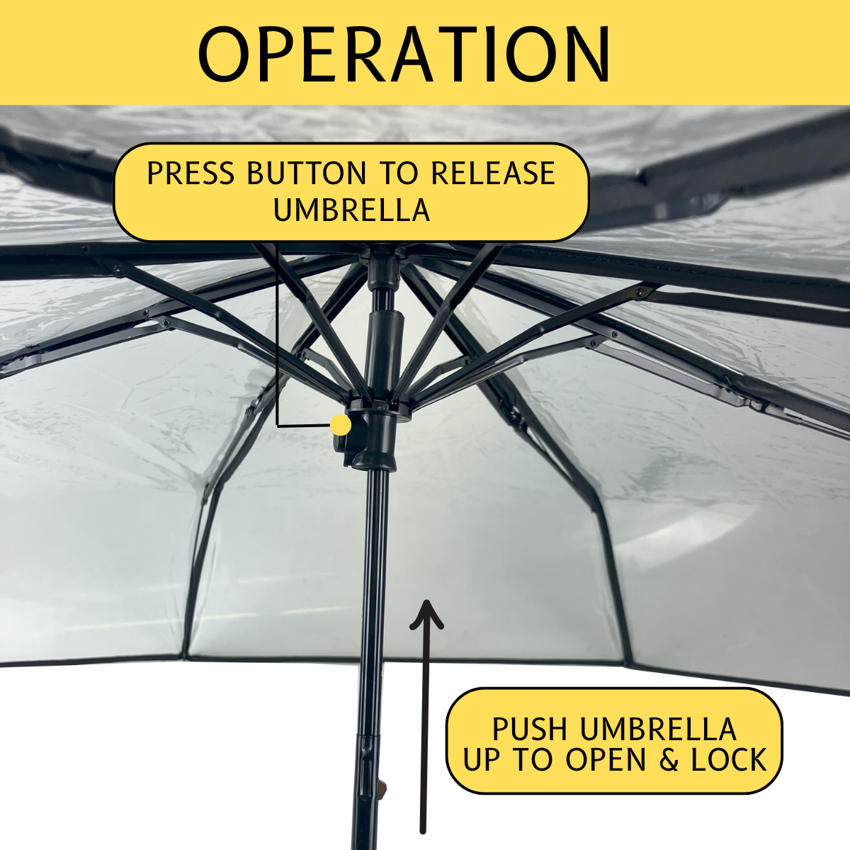 Clear Folding Umbrella