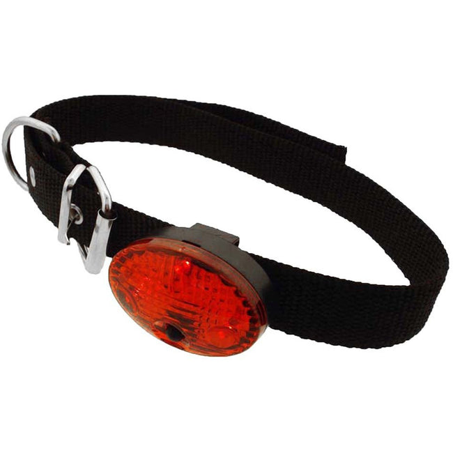 24.5 Inch Adjustable Dog Collar with LED Lights - B-27271 - ToolUSA