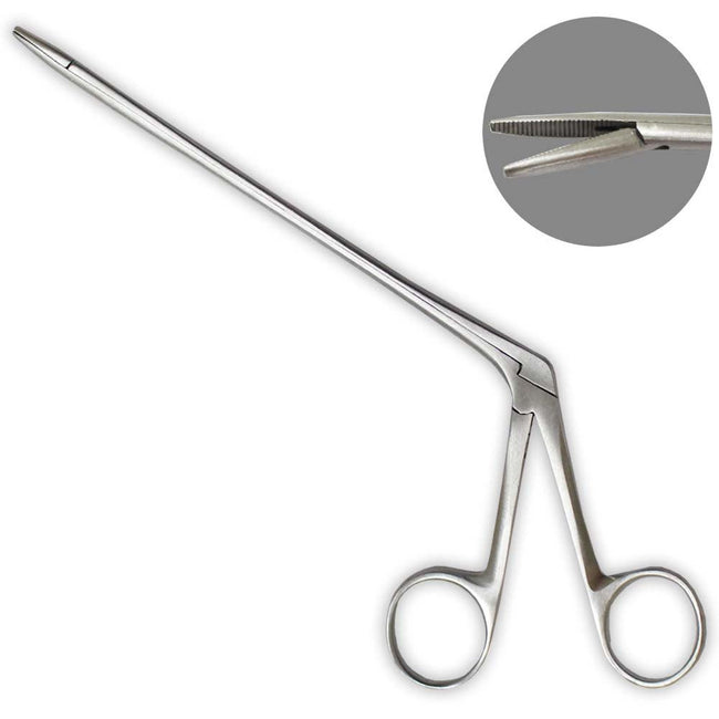 6 Inch Alligator Forceps - S3-03060 - ToolUSA