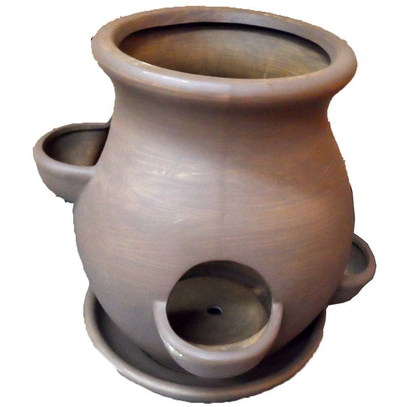 Ceramic Strawberry & Herb Planter With Water Tray - ToolUSA