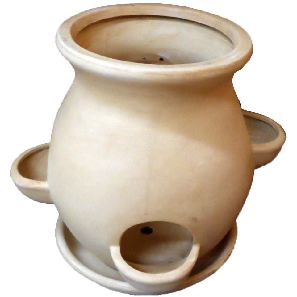 Ceramic Strawberry & Herb Planter With Water Tray - ToolUSA