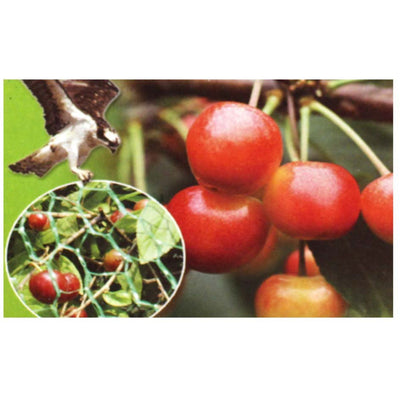 Humane Hexagon Anti-Bird Net to Protect Fruit in Trees, 2x5MT - GT-00205 - ToolUSA