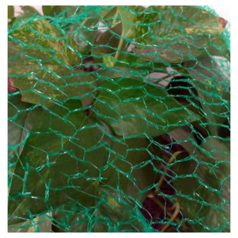 Humane Hexagon Anti-Bird Net to Protect Fruit in Trees, 2x5MT - GT-00205 - ToolUSA
