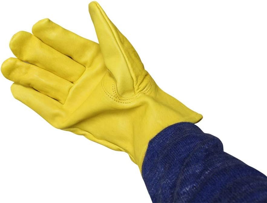 Men's Premium Grade Unlined  Cowhide Driver's Gloves